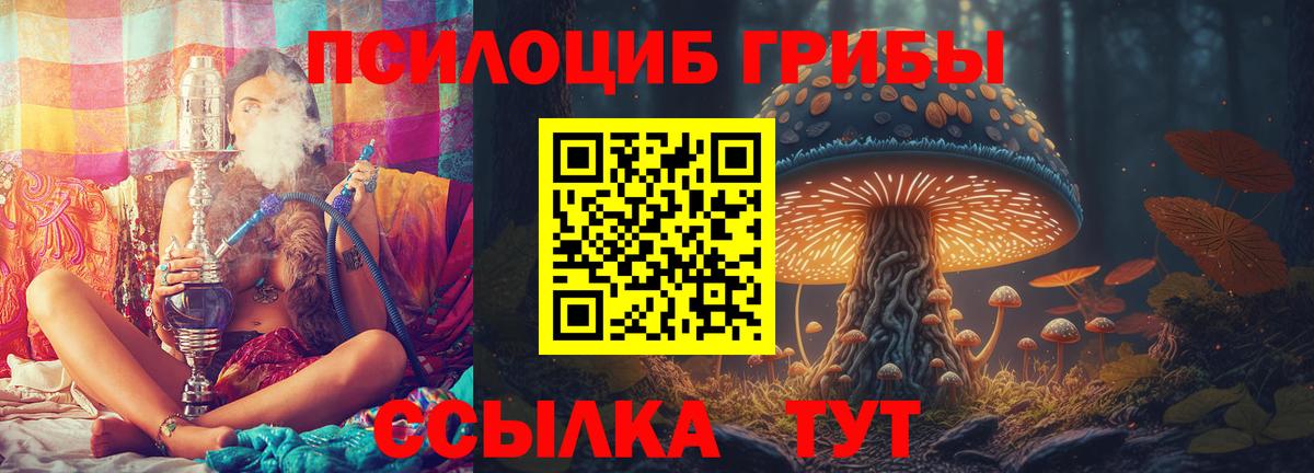 Галлюциногенные грибы GOLDEN TEACHER Черемхово